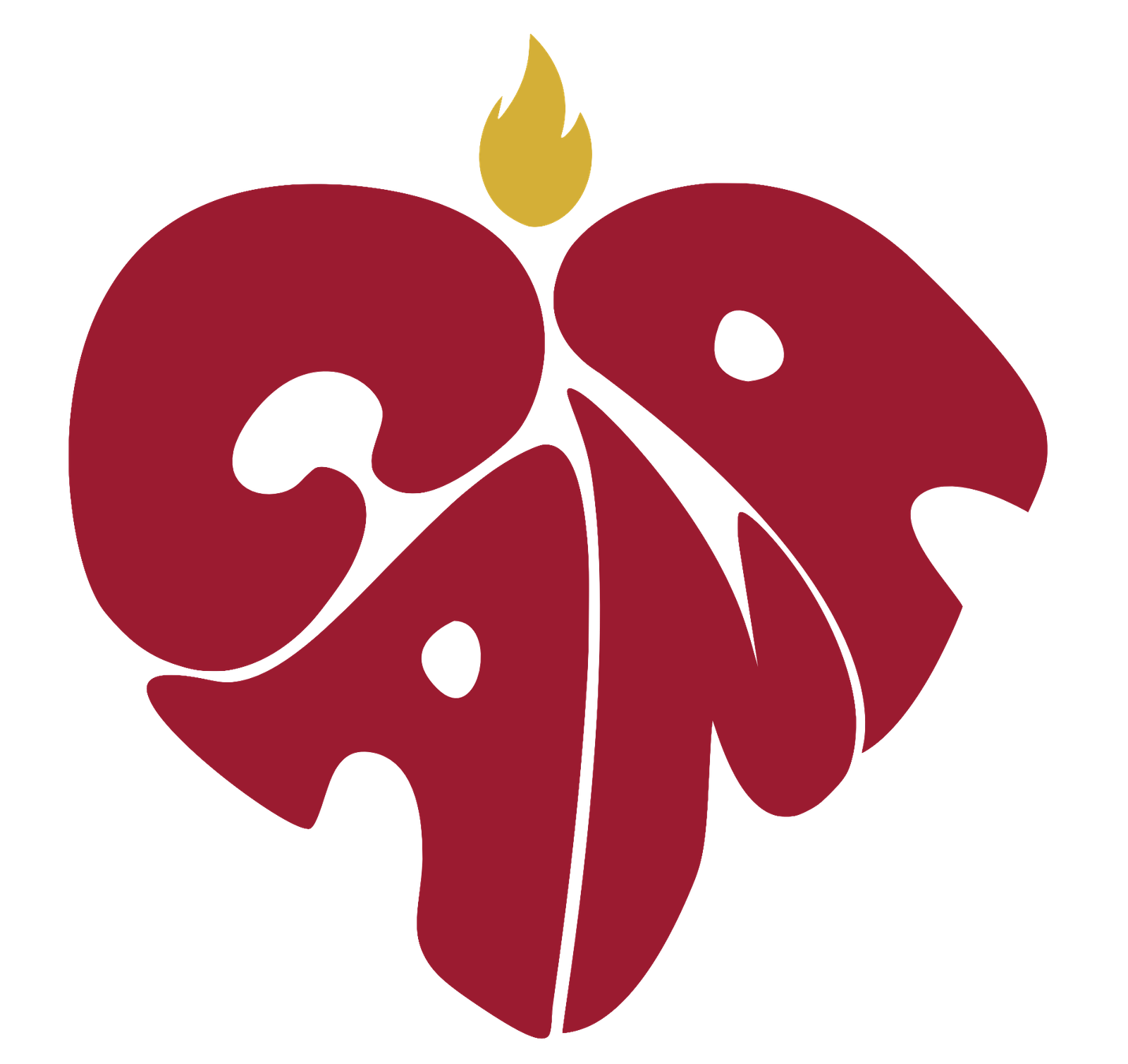 Patrocinador 5